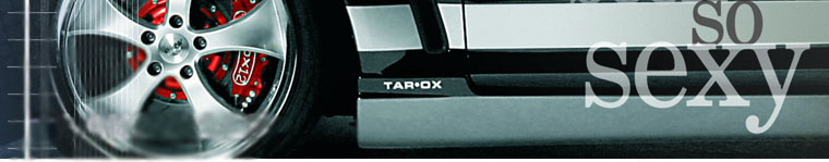 TAROX Brake discs